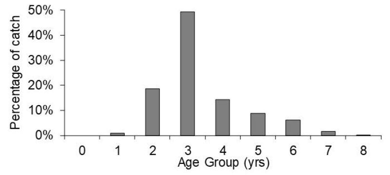 Graph 2: Age frequency of dusky flathead