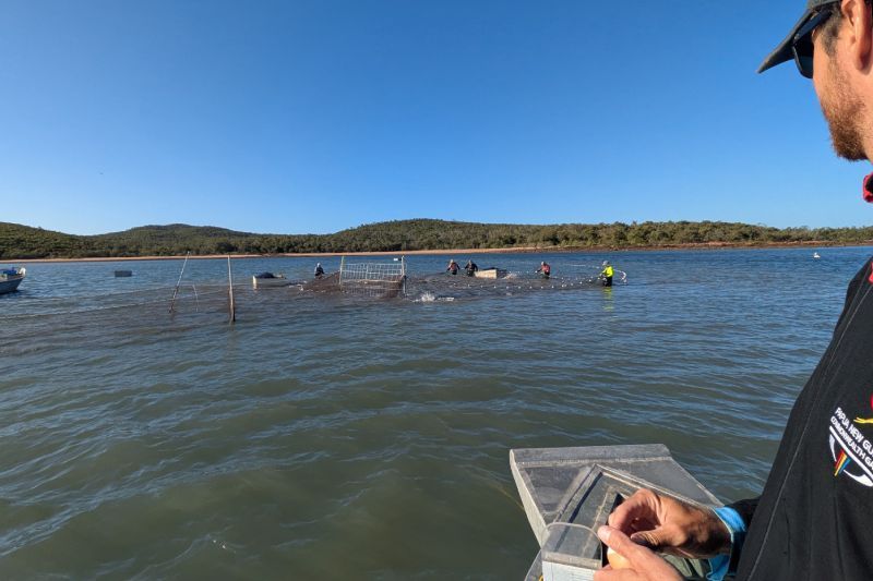 A researcher monitors the performance of a tunnel net in a bay in Central Queensland