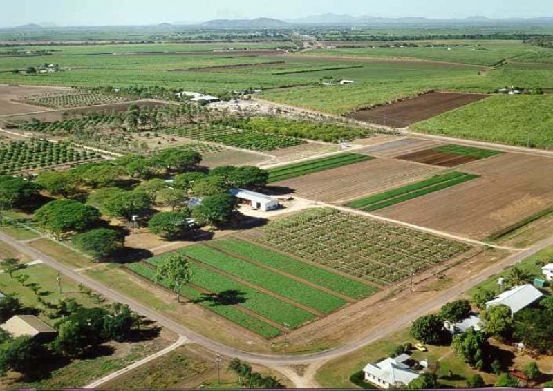 Aerial view of the Ayr Research Facility showing multiple crop trial plots, tree plantings, farm roads and buildings.