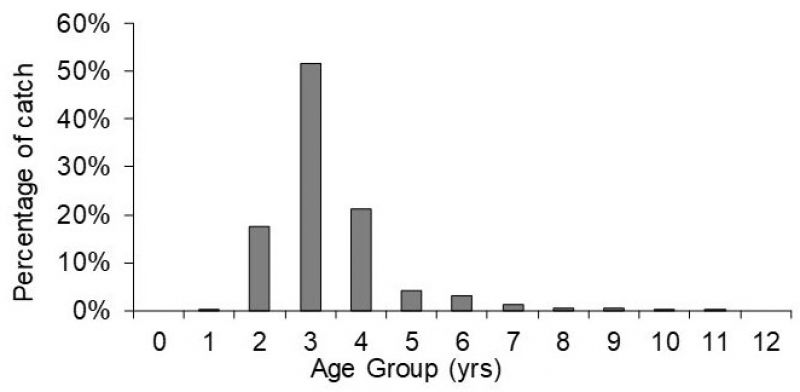 Age frequency of sand whiting.