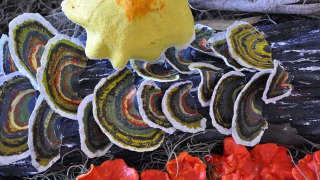 Colourful bracket-fungi artwork arranged on a log.