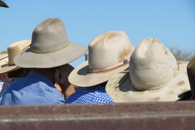 Close-up image of a group of people wearing wide-brimmed hats, typically associated with farmers or rural workers, with a clear blue sky in the background, symbolizing community and outdoor work in agriculture
