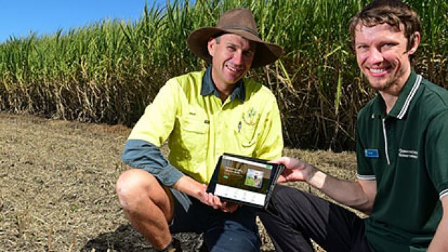 A farmer and an agricultural officer kneeling in front of a sugarcane field, holding a tablet with farming data