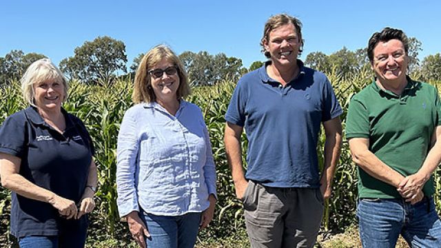 Four team members standing in a paddock, highlighting engagement and capacity-building initiatives for sustainable farming