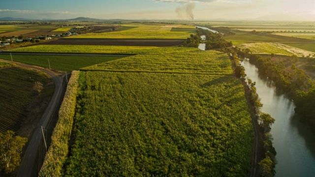 Aerial view of farmland beside a winding river, with large crop paddocks and a rural road at sunrise.