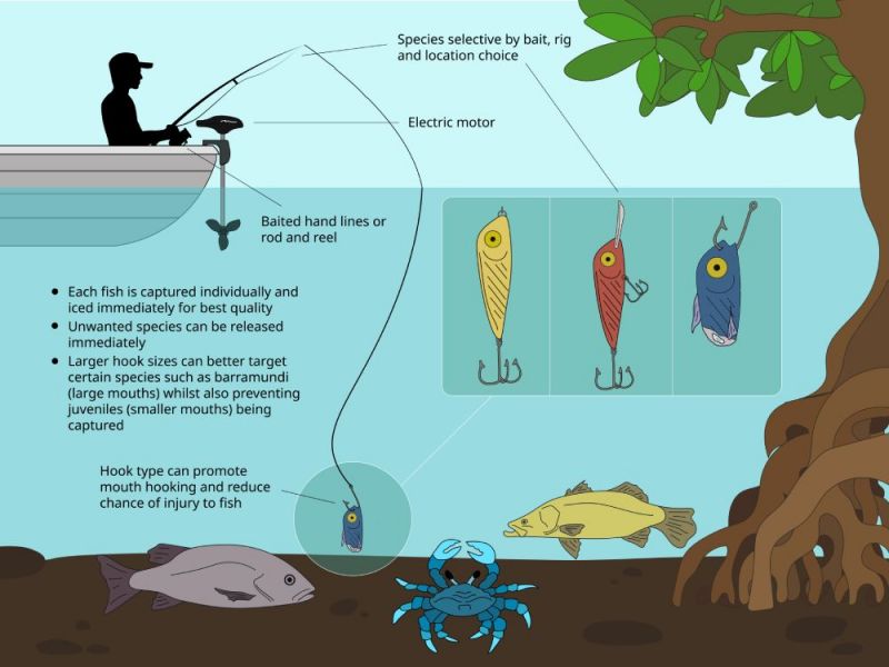 A graphic illustration of how a line fisher sets up to catch fish at inshore locations
