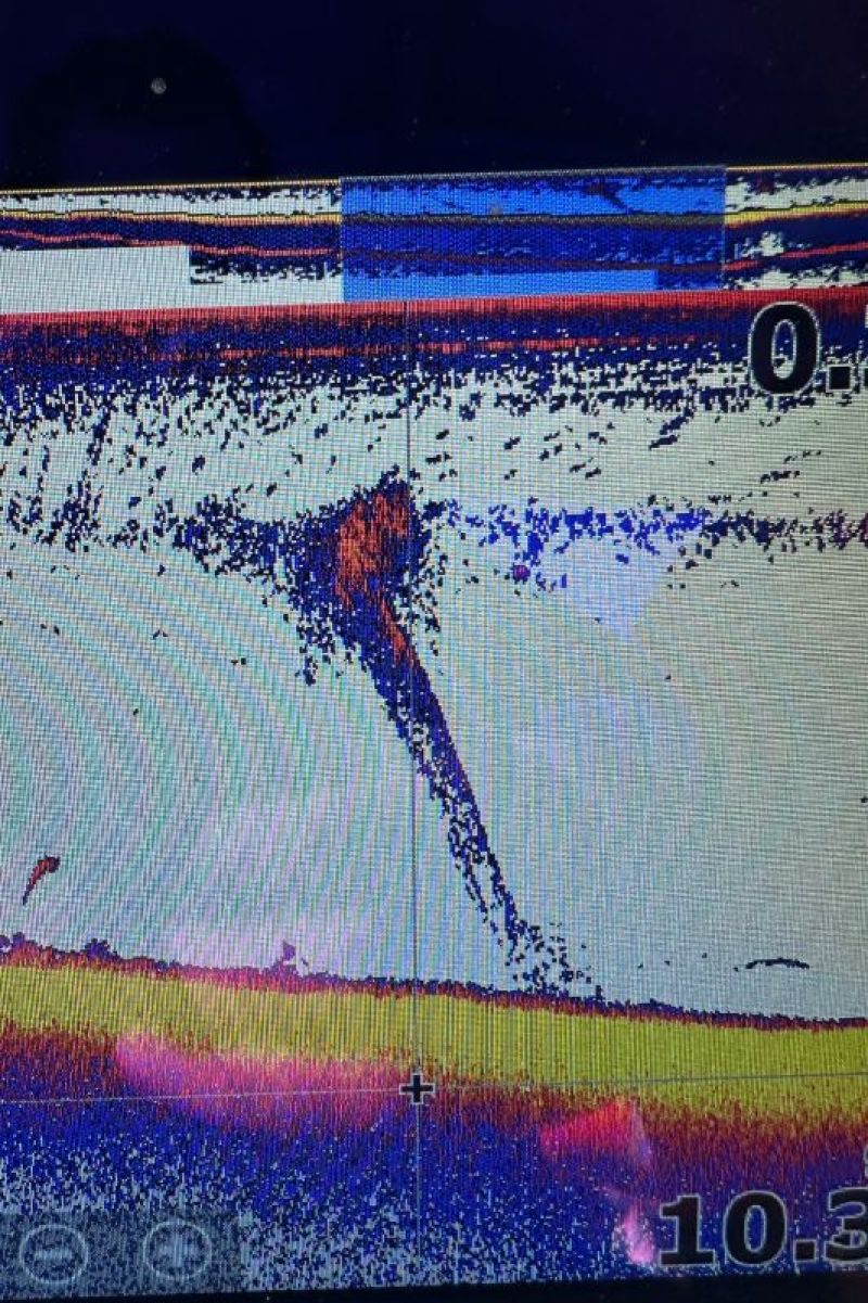 A screen image on a sonar tracking movement of a deployed fish trap