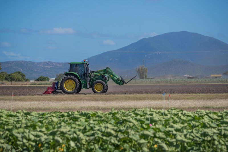 Tractor working a paddock at the Bowen Research Facility with crop rows in the foreground and mountains in the background.
