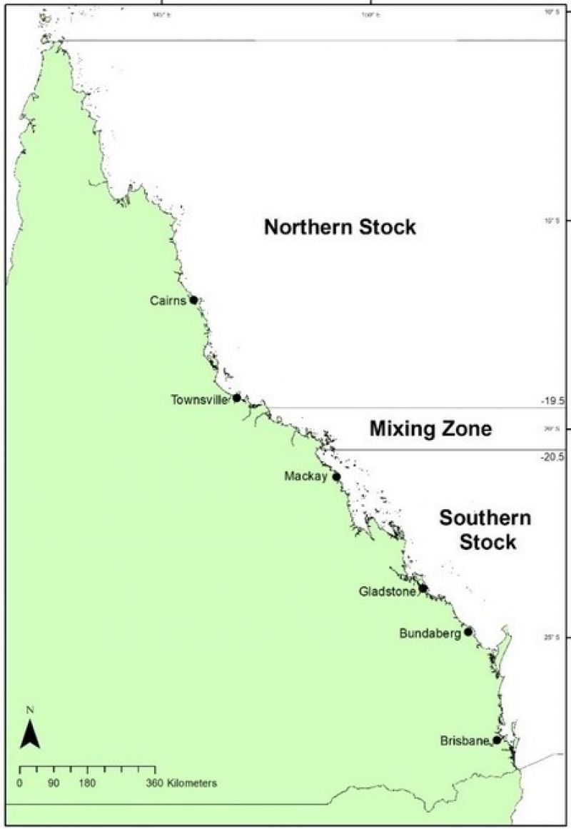 Map of Queensland, Australia showing locations of northern and southern school mackerel stocks and mixing zone.