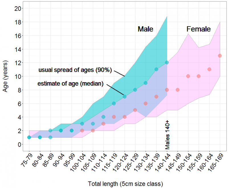 Age at length graph for male (blue) and female (pink) Spanish mackerel, shaded sections shows the 5th to the 95th percentile of the data, symbols mark the median age at each length.