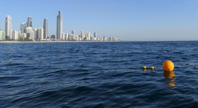 Shark control drumline buoy floating offshore with Gold Coast skyscrapers in the background.