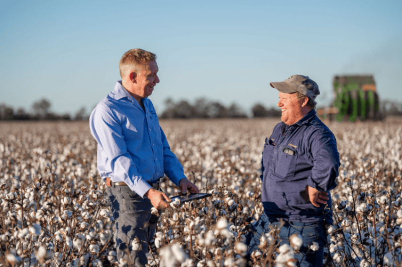 Two men wearing work clothes stand talking and laughing in a cotton field, one holds a tablet device. 