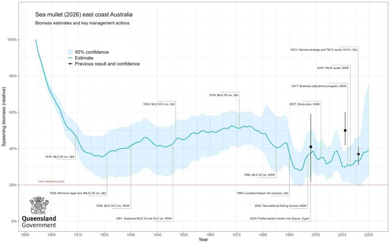 Line graph shows the trend of sea mullet spawning biomass relative to unfished from 1899 to 2025 along with key management changes. It shows an initial decline in the early 1900s during the start of the fishery to just below 40% in the 1920s. From 1922, spawning biomass gently increased, reaching a peak in the 1970s of around 51%. From 1980, a decline is shown with some fluctuation, ending with a spawning biomass ratio of 39% in the beginning of 2025. 