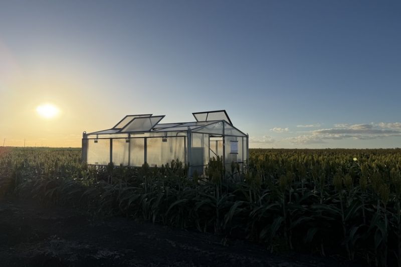 Glasshouse in a field with the sun setting in the background.