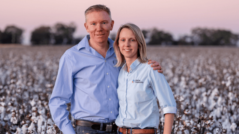 A man and a woman stand in a cotton field at sunset. 