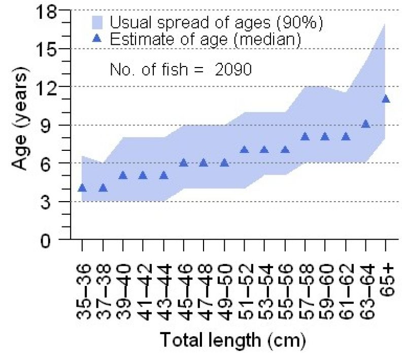 Age-at-length graph for pearl perch. Shaded sections show the 5th to the 95th percentile from each length category.  Points mark the median age. Sample size is 2090 fish. 