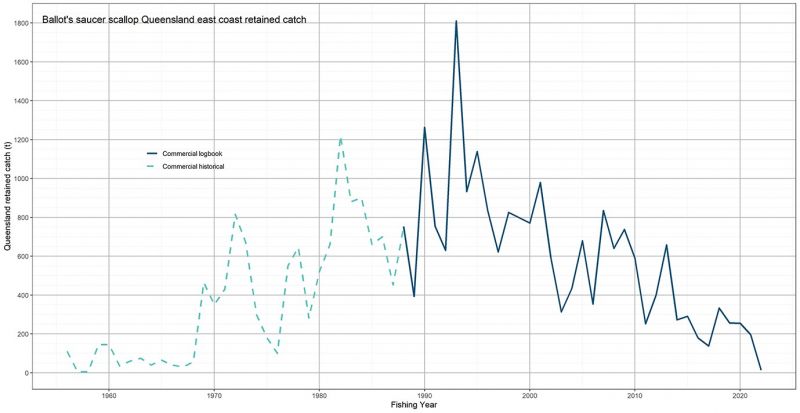 The chart presents the Ballot’s saucer scallop retained catch taken by commercial fishers from 1956 to 2022. The commercial harvest is from a historical source between 1956 and 1988 and from the logbook program between 1987 and 2022. Before 2022, retained catch estimates from the logbook were greater than 700 tonnes of meat weight per fishing year, and peaked in 1993 at over 1800 tonnes. Since 2011, retained catch estimates were less than 400 tonnes per fishing year.