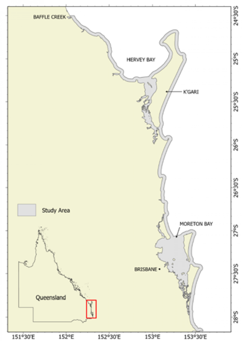 Map showing the areas in Queensland where the tailor stock is monitored.