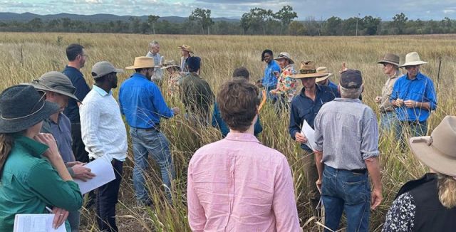 A group of farmers and extension officers standing in a paddock, discussing grazing management practices