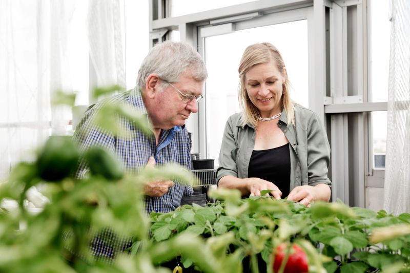 Two researchers inspect potted plants in a glasshouse at the Ecosciences Precinct.