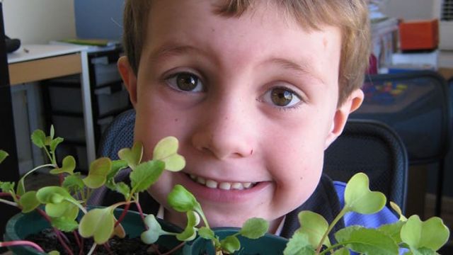 Child smiling while holding trays of young seedlings.