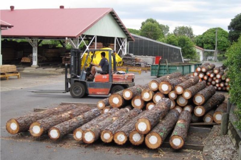 A man on a forklift with piles of timber.