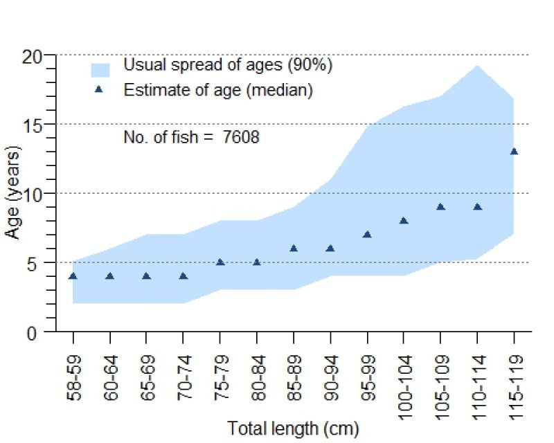 Age-at-length graph for barramundi in the North east coast of Queensland. Shaded sections show the 5th to the 95th percentile of male and female fish from each length category.  Points mark the median age. Sample size is 5089 fish. 