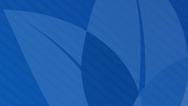 hermitage-banner