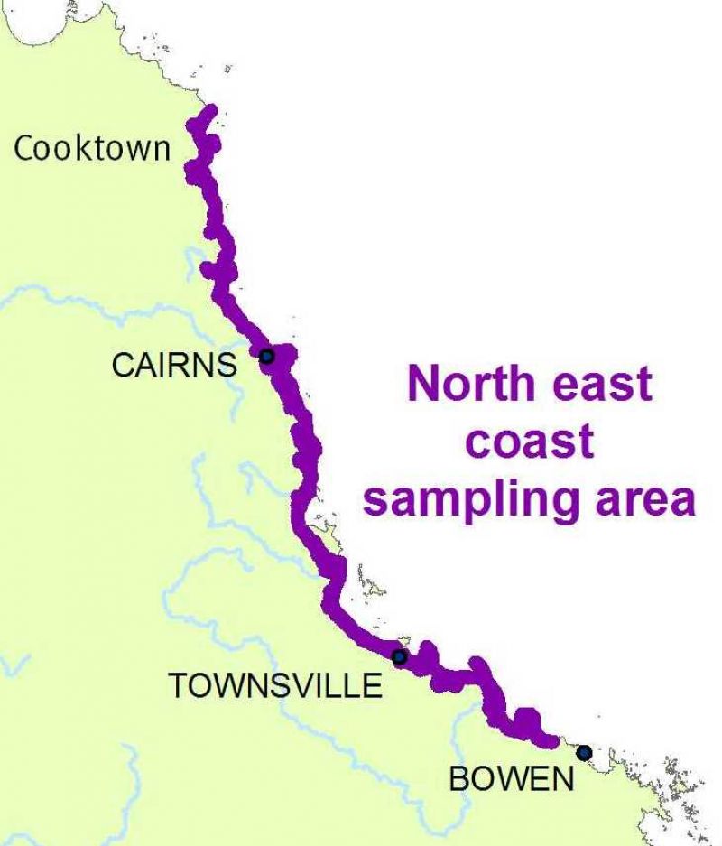 Map showing the north-east coast sampling area for barramundi monitoring.