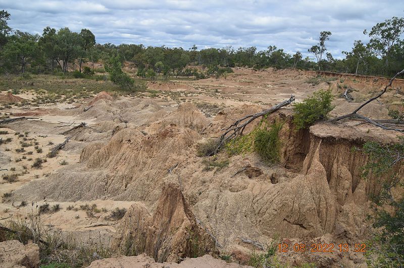 Severe gully erosion in a rural Queensland landscape with exposed soil and sparse vegetation