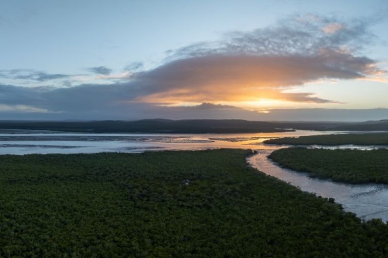 An aerial view of a river and wetlands along the Queensland coastline.