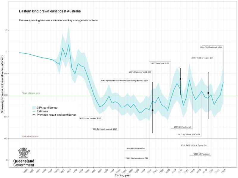 Spawning biomass ratio by fishing year, relative to the unfished level in 1958. 95% confidence intervals are shown. The model predicted that historical eastern king prawn spawning biomass declined to roughly 49% (43–57% confidence interval) in 1984, steadily increased to 57% (44–68% confidence interval) in 2019,  and increased to 72% in 2024 (54–88% confidence interval). The biomass ratios have shown greater fluctuations since 2000.