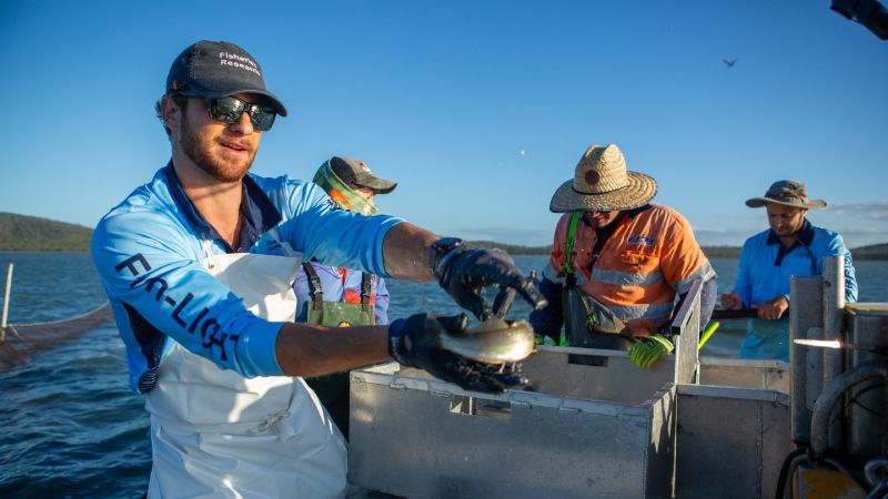 A researcher in a boat holding a fish that is being monitored.