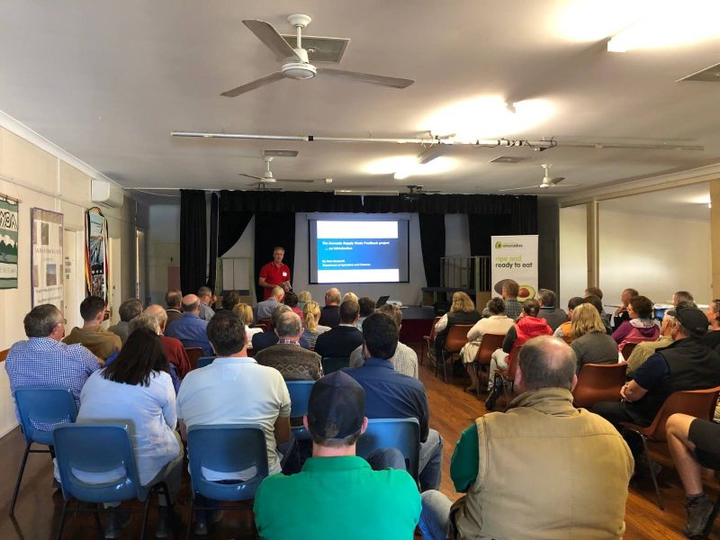 Industry audience attends an avocado supply chain feedback workshop presentation.