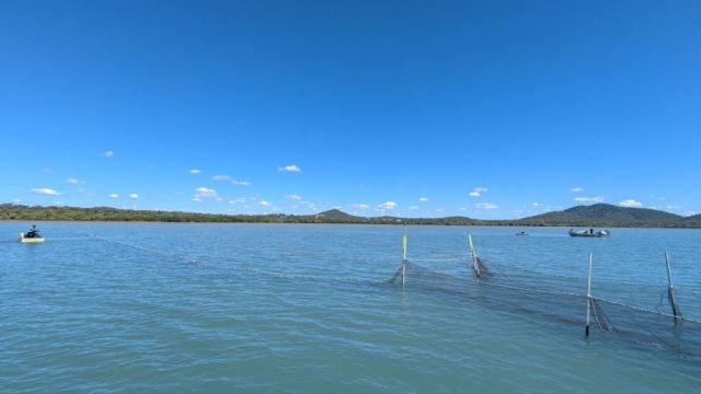 A tunnel fish net sits in shallow inshore water off the central Queensland coast