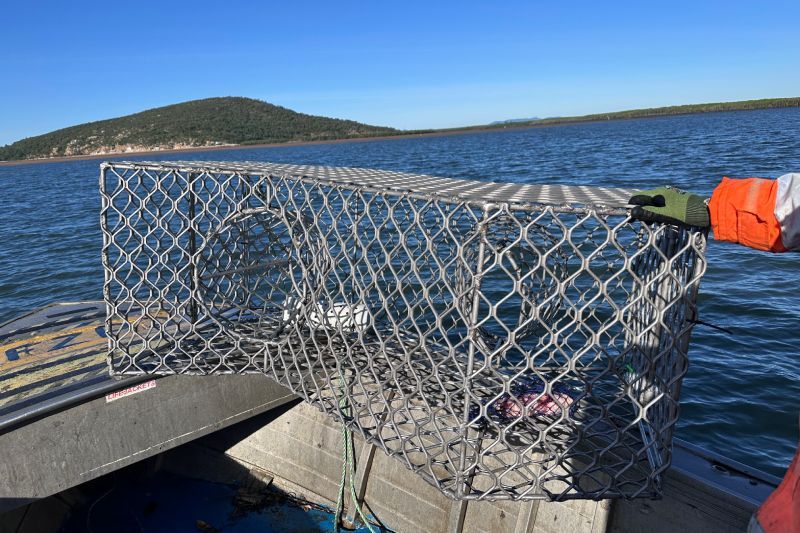 A rectangular aluminium fish trap set for deployment in the Burdekin River